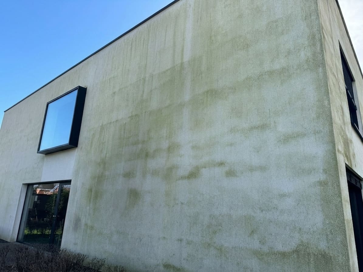 Witte crepi-gevel met groene aanslag en algen op de schaduwzijde
