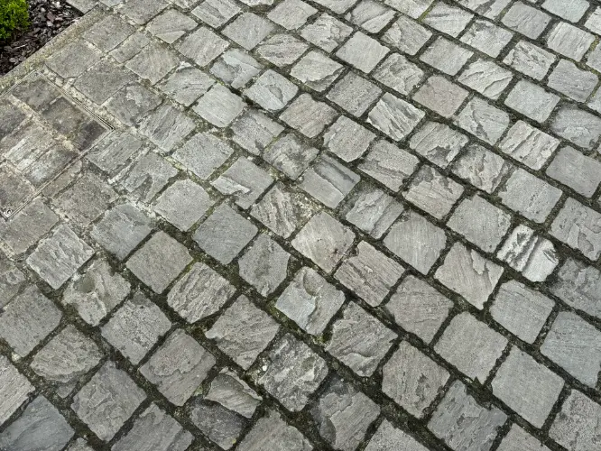 Kasseien met vuil en mos tussen de voegen