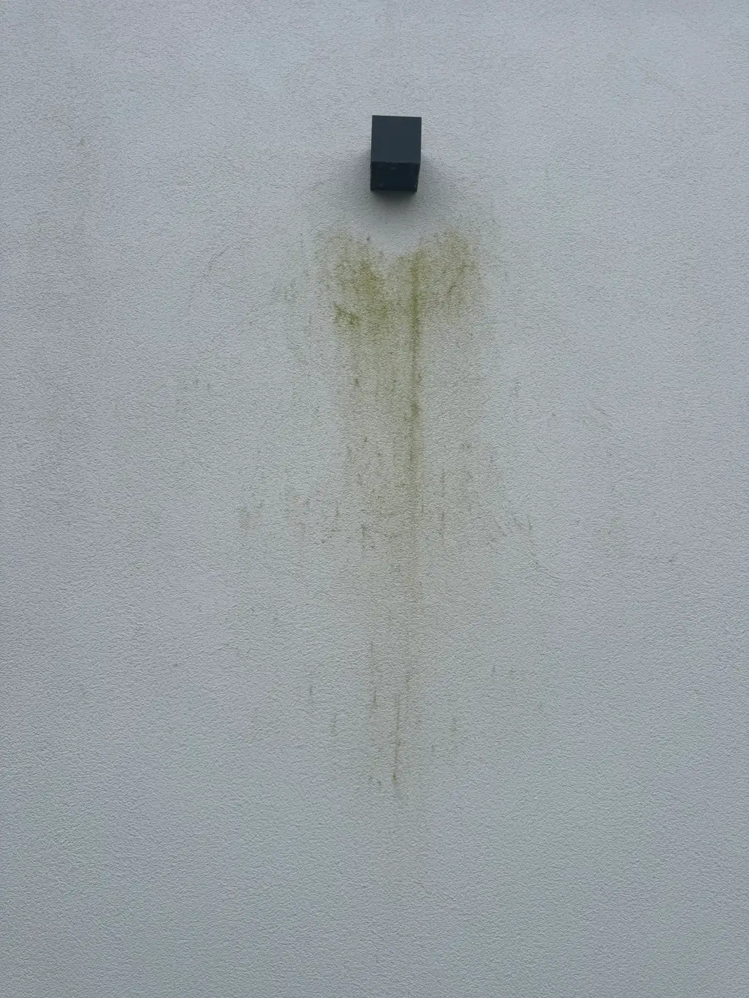 Witte crepiwand met een plaatselijke, lichte groene aanslagwolk onder een wandlamp; de rest van de wand is proper.