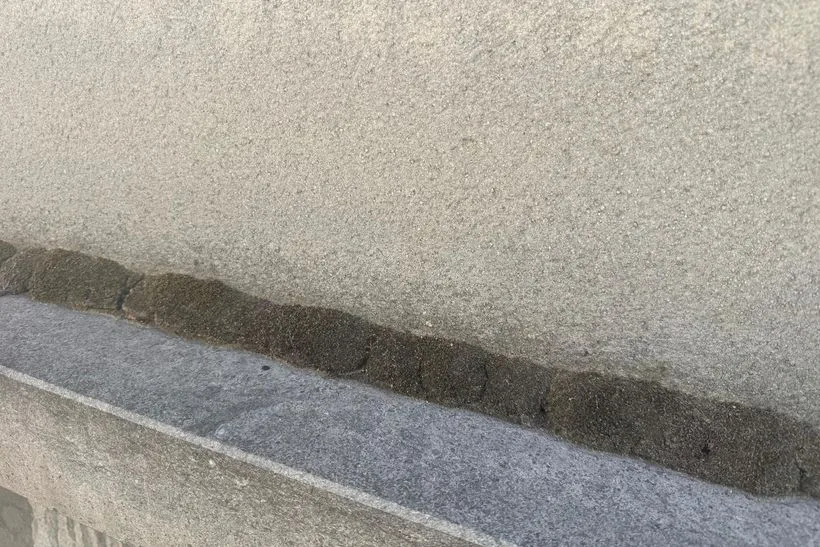 Detail van donkere aanslag op de naad boven een blauwstenen dorpel.