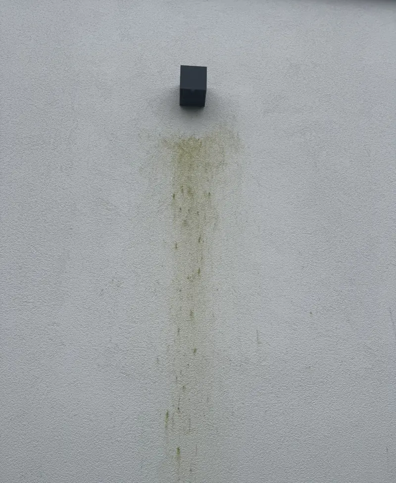 Witte crepigevel met een groene aanslagstreep die vanaf een wandlamp naar beneden loopt; de rest van het gevelvlak is nog schoon.