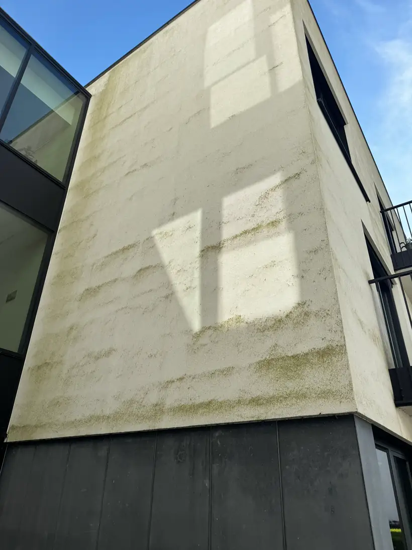 Crepigevel met duidelijk opgebouwde groene en grauwe vervuiling over een groter oppervlak.