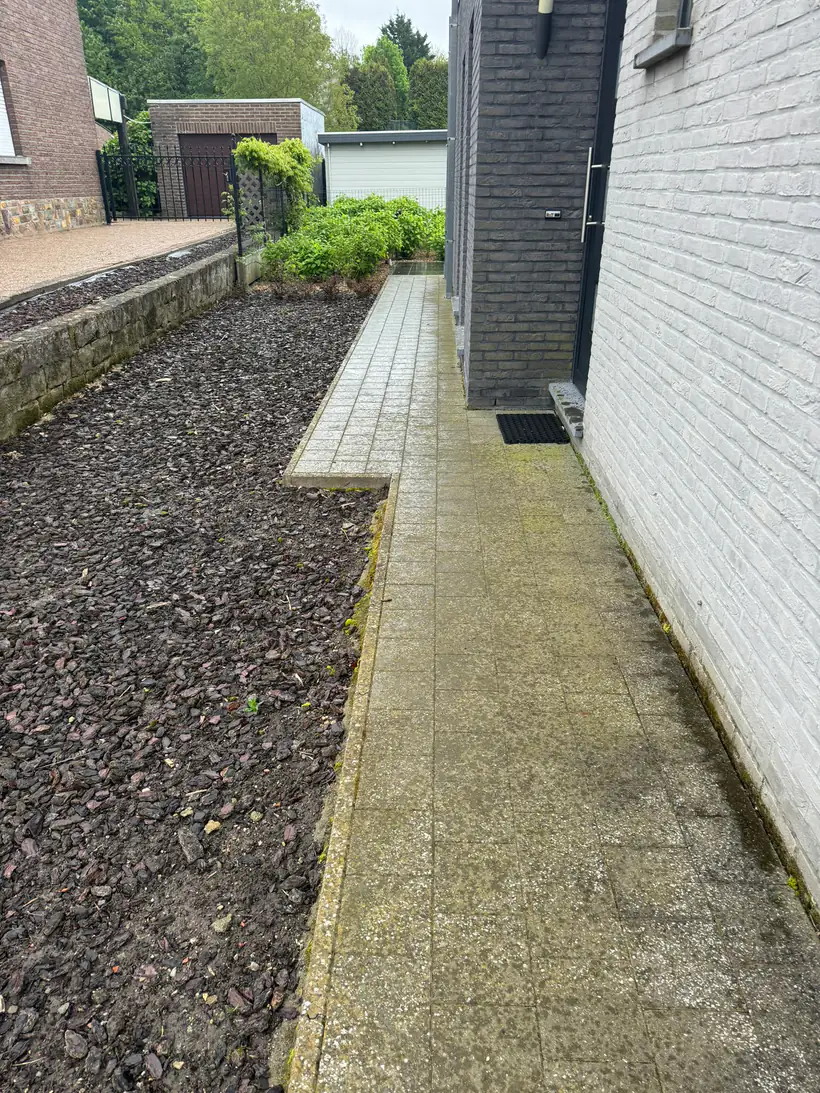 Groen aangeslagen tegelpad langs een woning.