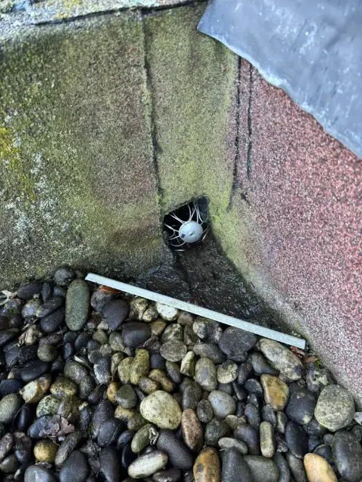 Dezelfde dakafvoer na de reiniging: het rooster is weer vrij.