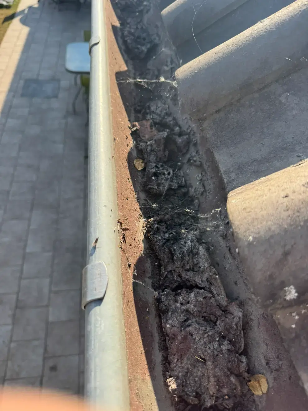 Bakgoot in Zaffelare, tot de rand gevuld met zwart slib.