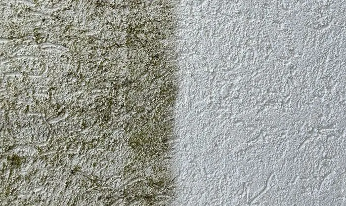 Crepi van dichtbij: links groen en grauw aangeslagen, rechts gereinigd en weer licht.