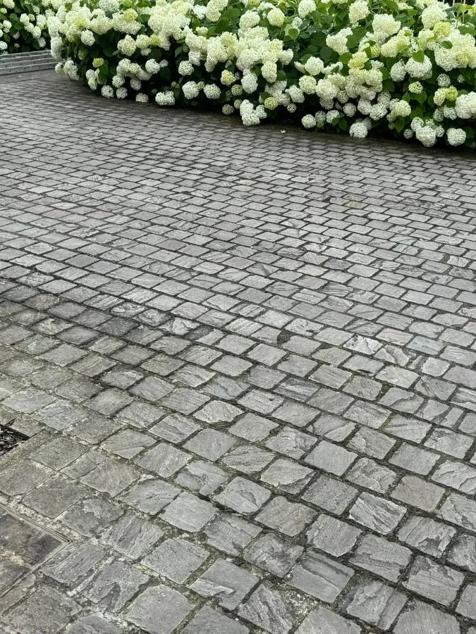 Oprit in kasseien vóór het reinigen: grauwe, donkere stenen met aanslag in de voegen, achteraan witte hortensia's.