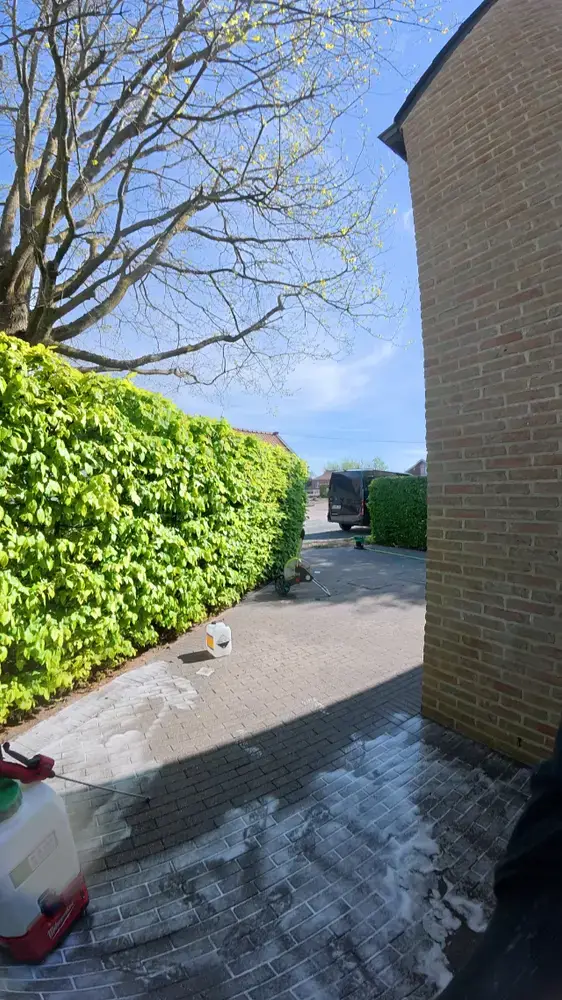 Reinigingsproduct als wit schuim op de klinkers van een oprit langs een haag, met de sproeier ernaast.