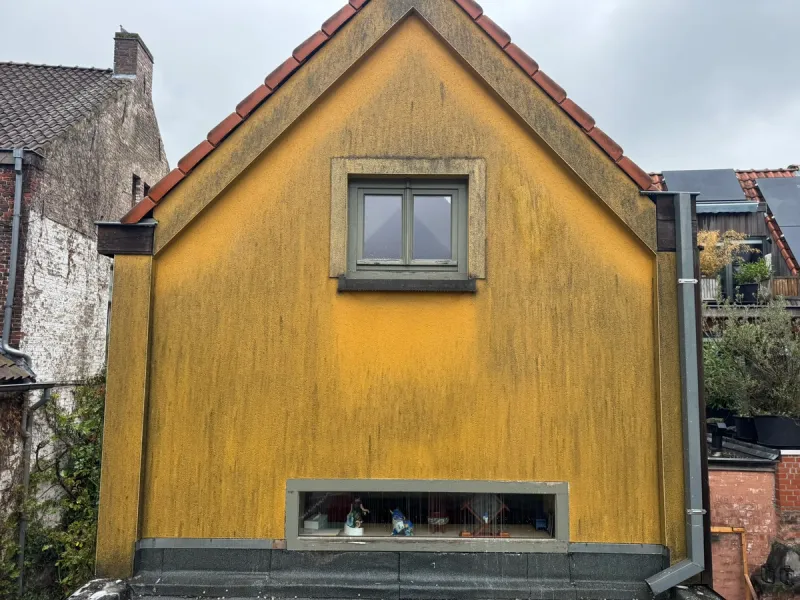 Crepi reinigen — gevel vóór behandeling in Gent.
