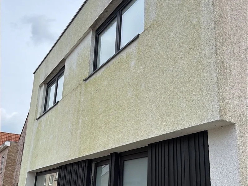 Crepi reinigen — gevel volledig groen van de algen vóór behandeling in Eede.