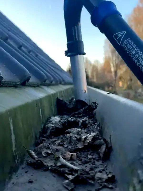 Een dakgoot vol bladeren, met de buis van de gootzuiger erboven.
