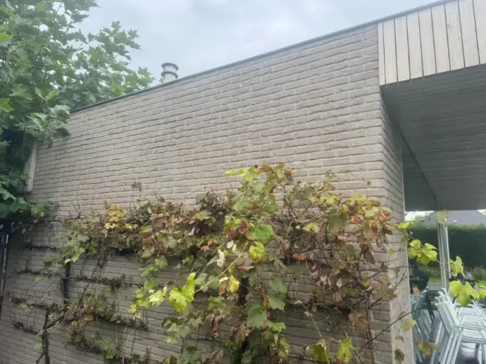 Villa in Deinze volledig gereinigd en beschermd