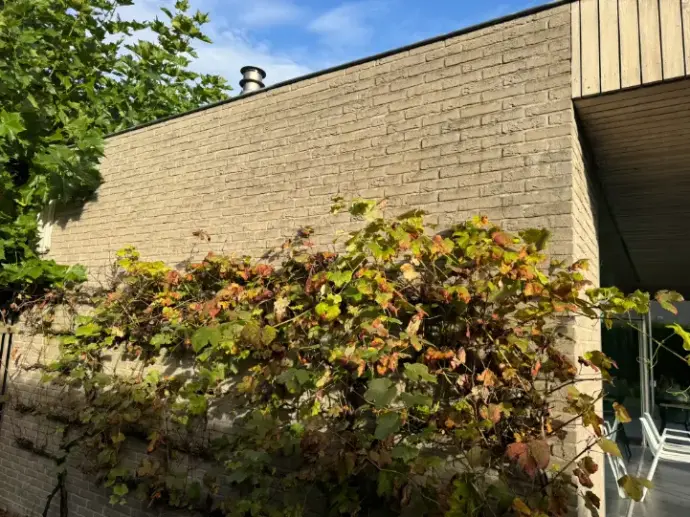 Detail gevelreiniging met hydrofuge behandeling