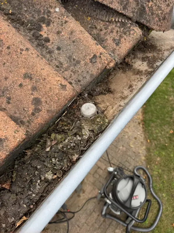 Voor en na dakgootreiniging bungalow Drongen