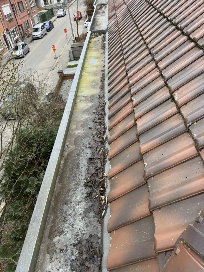 voor de reiniging vol bladeren