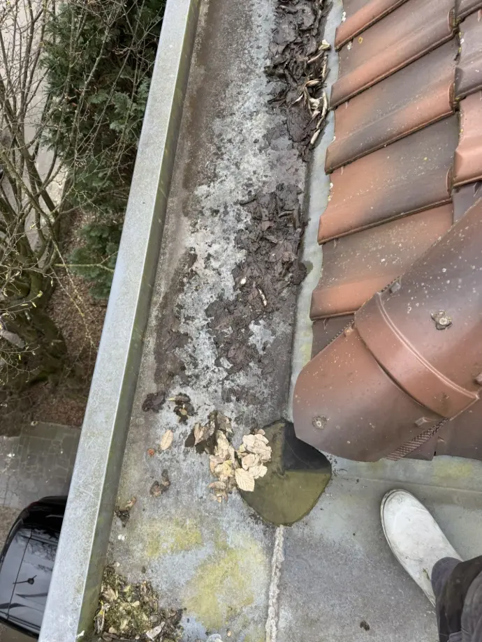 Bladeren en vuil verwijderd uit dakgoot Mariakerke