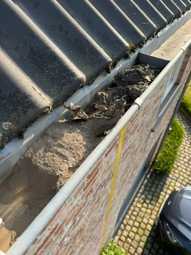 Dakgoot met vuilophoping voor reiniging in Oost-Vlaanderen