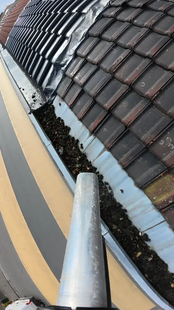 Verstopte dakgoot met bladeren voor reiniging in Gent