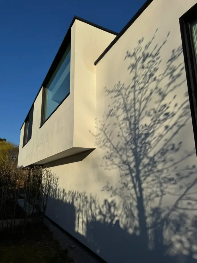 Detailfoto groene aanslag op crepi gevel voor reiniging Destelbergen